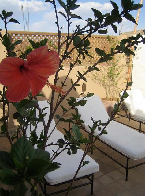 Riad Elixir Marrakesh Exteriör bild